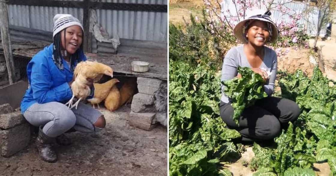 A proud female farmer showed off her spinach on social media A proud female farmer showed off her spinach on social media