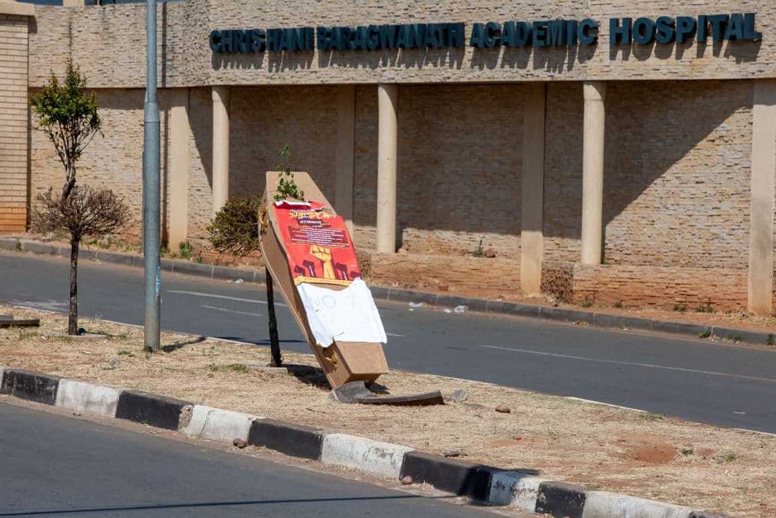 41 children were rushed to Chris Hani Baragwanath Hospital after eating rat poison 41 children were rushed to Chris Hani Baragwanath Hospital after eating rat poison