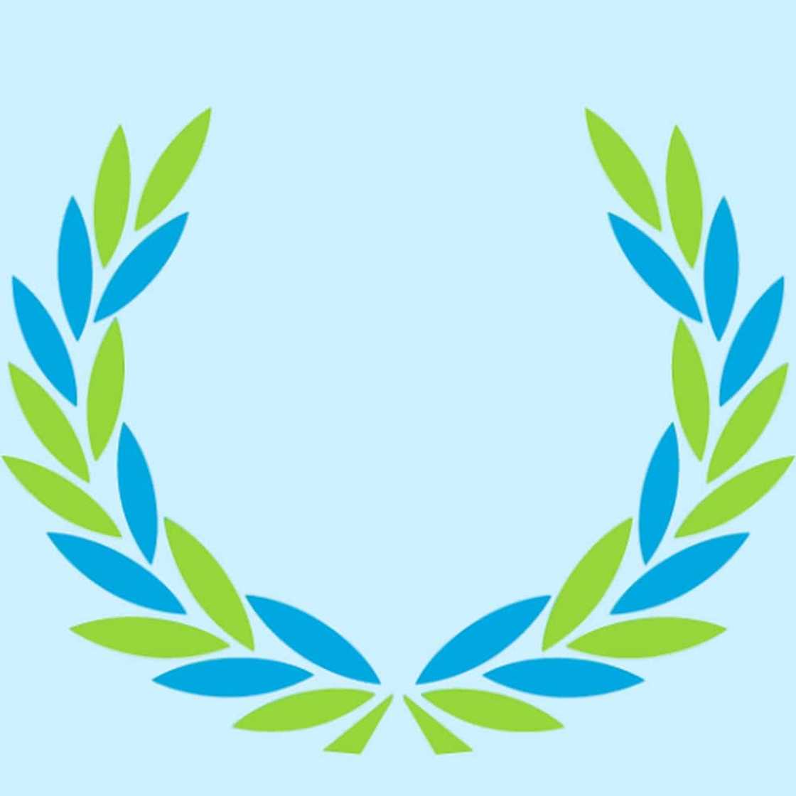 schools for troubled youth in South Africa schools for troubled youth in South Africa