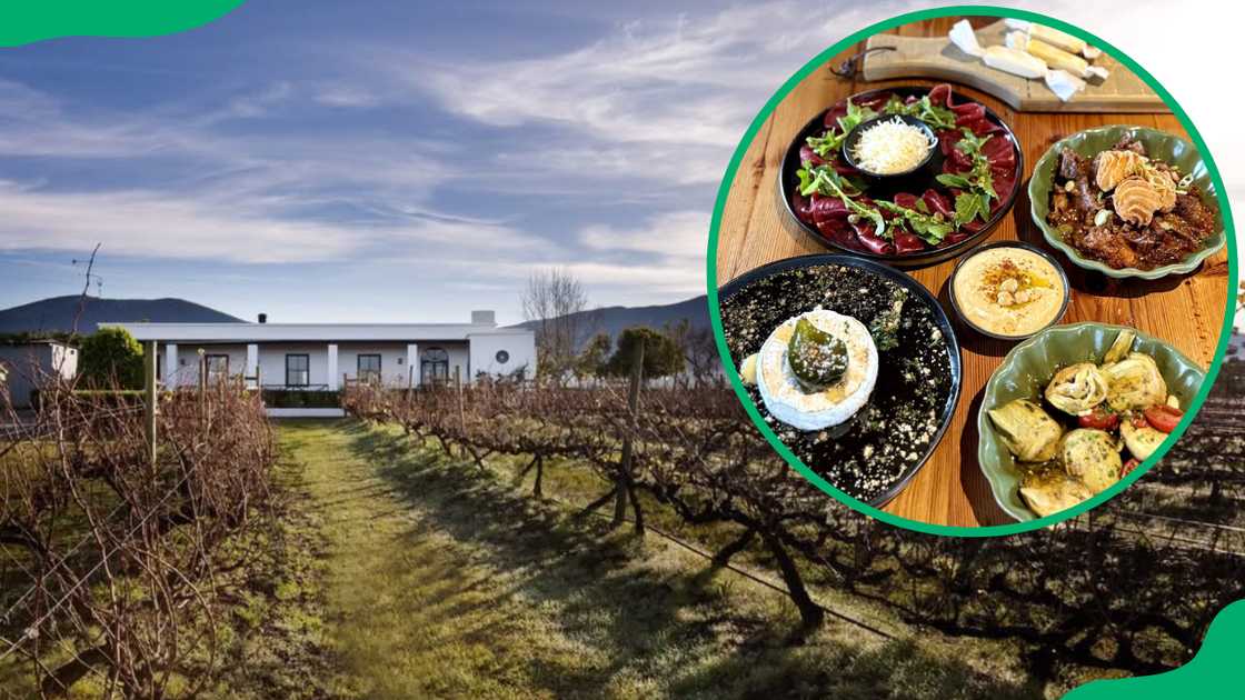 restaurants in Plettenberg Bay restaurants in Plettenberg Bay