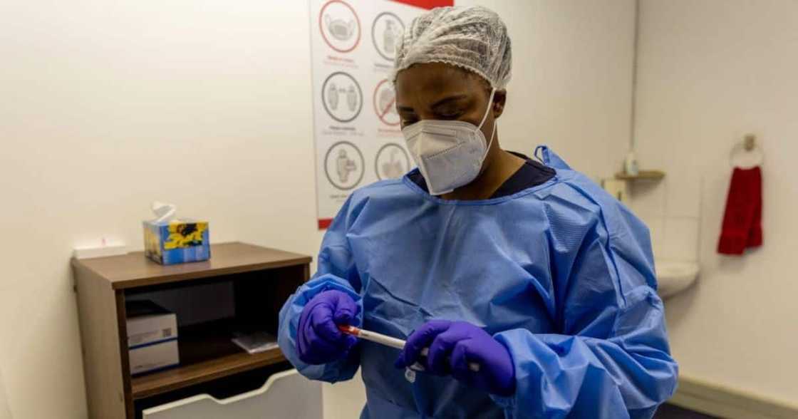 Covid-19, coronavirus, South Africa, Omicron, health department, New24, Covid-19 statistics Covid-19, coronavirus, South Africa, Omicron, health department, New24, Covid-19 statistics