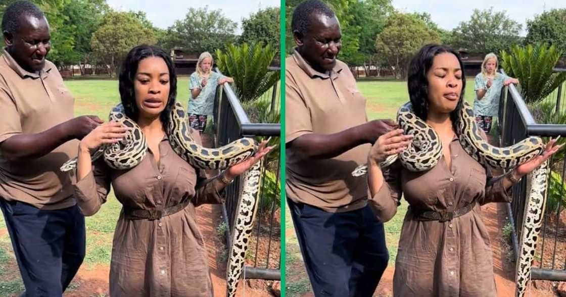 Woman carried a python Woman carried a python