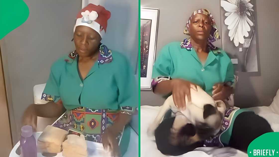 The image on the right showed Mai Silence posing with a dog The image on the right showed Mai Silence posing with a dog