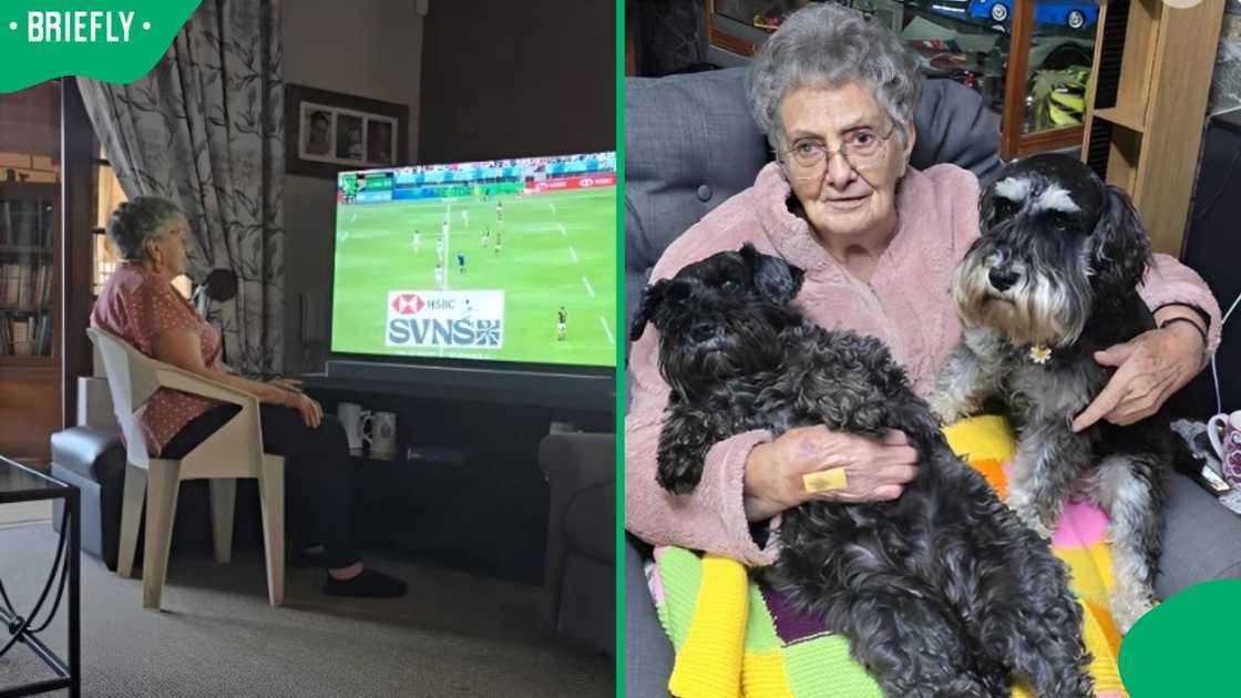 An ouma watched rugby.