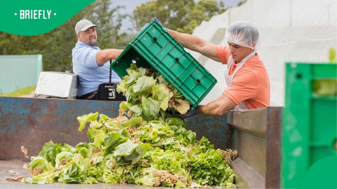 Why Food Systems Must Be at the Centre of the Climate Crisis Fight Why Food Systems Must Be at the Centre of the Climate Crisis Fight