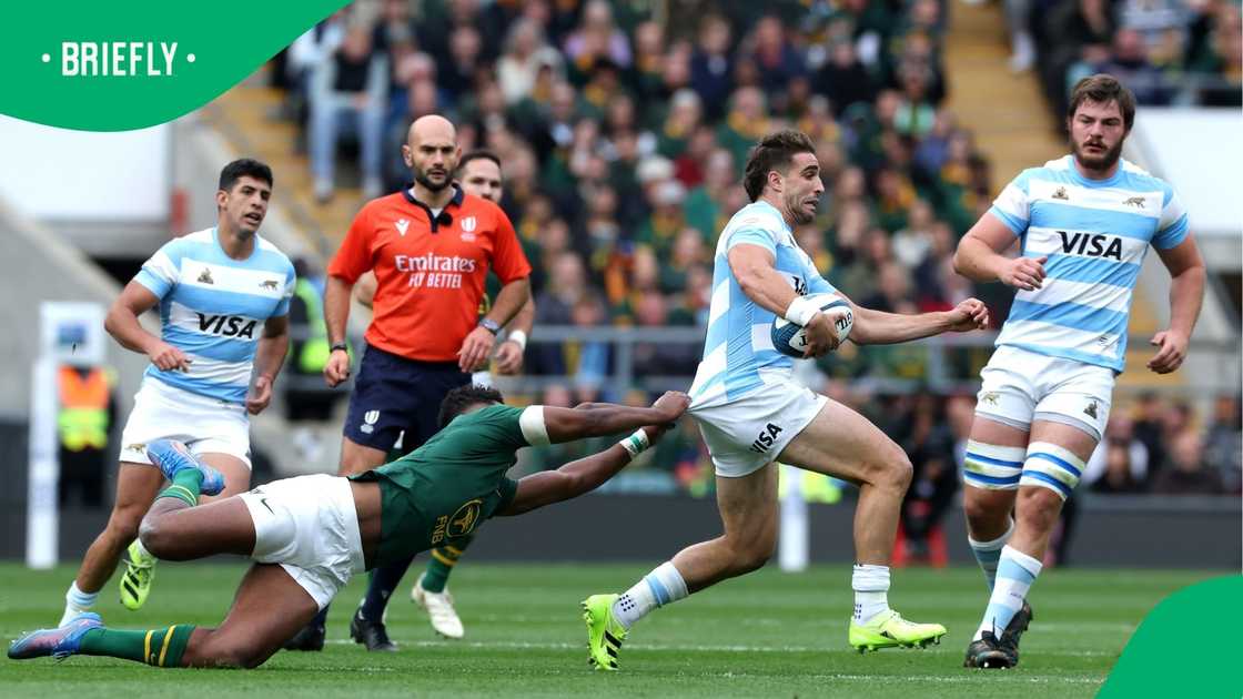Springboks, Los Pumas, Rugby Championship, South Africa