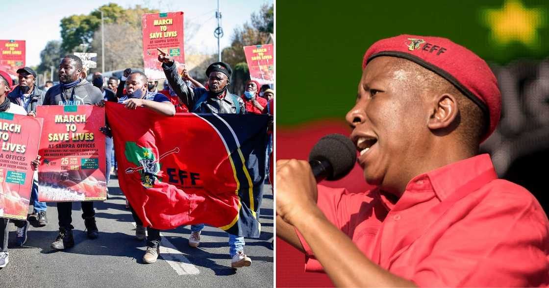 Economic Freedom Fighters leader Julius Malema Economic Freedom Fighters leader Julius Malema