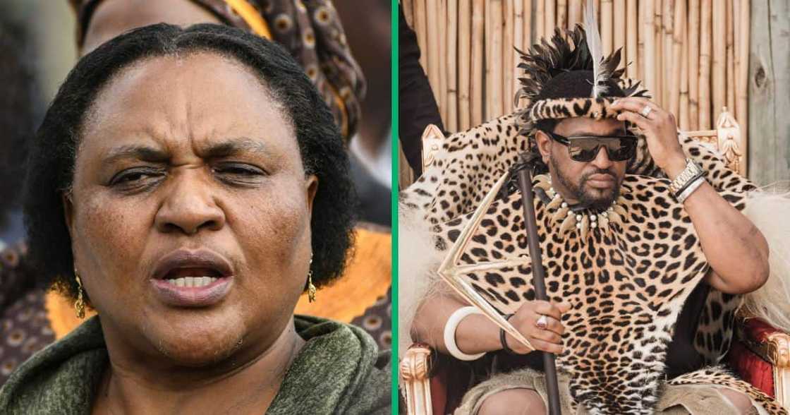 Thoko Didiza claimed the Ingonyama Trust can be dissolved