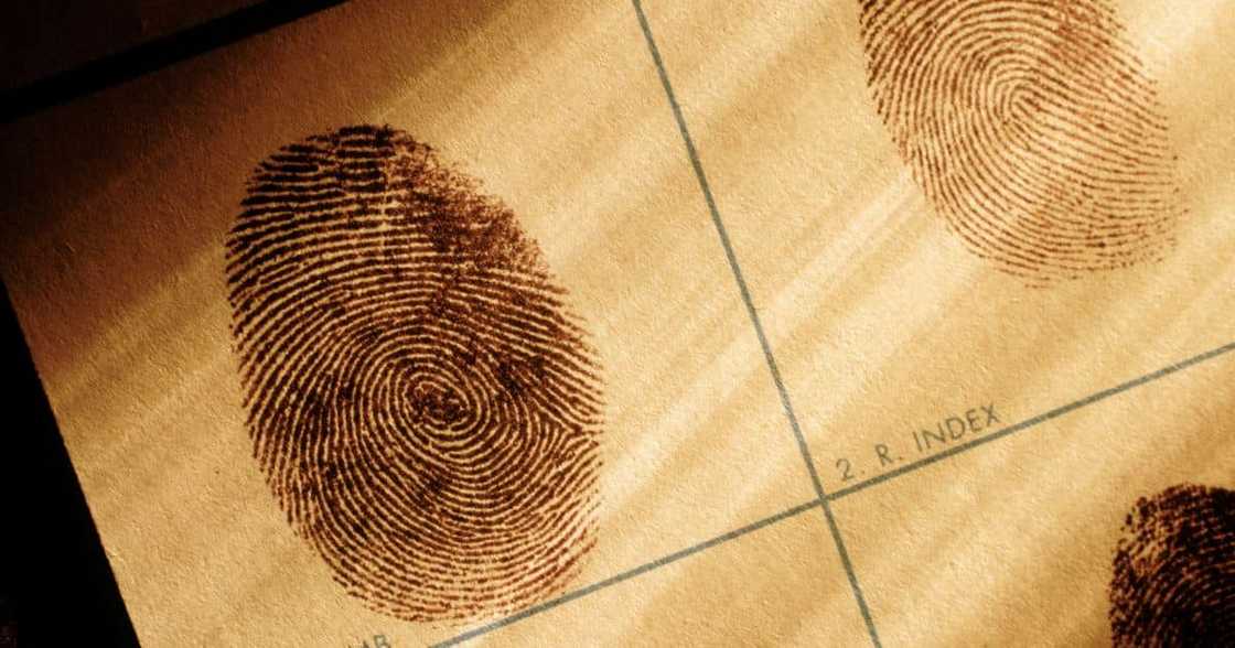 Fingerprint evidence Fingerprint evidence