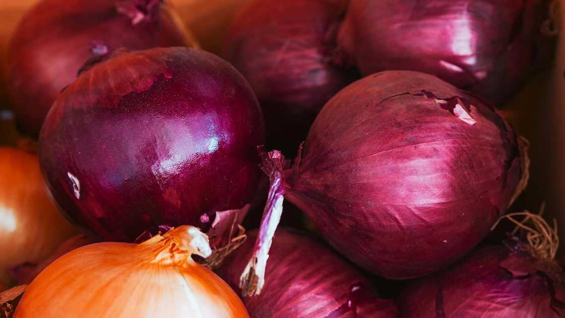 a close-up shot of red onions as most profitable vegetables to grow in South Africa a close-up shot of red onions as most profitable vegetables to grow in South Africa