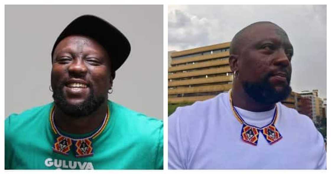 Zola 7