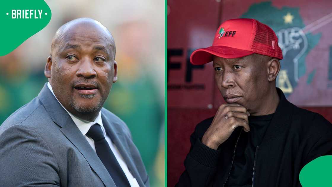 Gayton McKenzie fired a cheap shot at Julius Malema