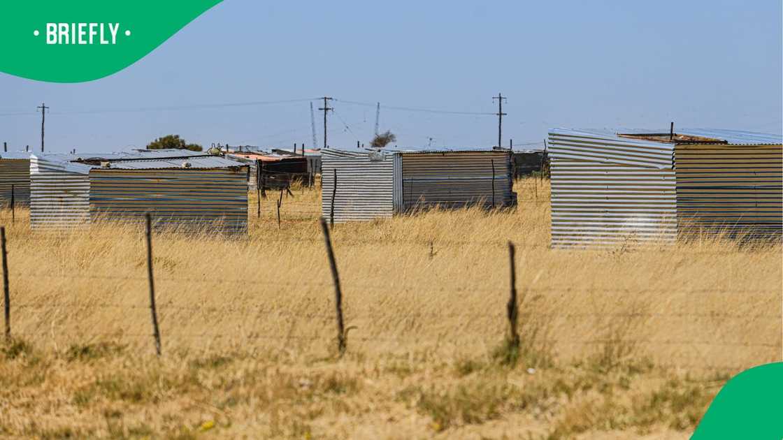 A stock photo shacks situated in a dry place