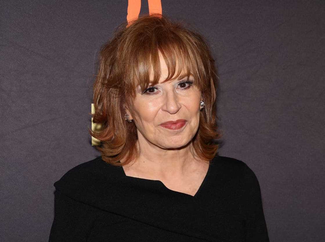 Does Joy from The View have children? Does Joy from The View have children?