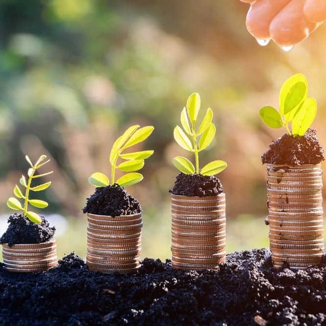 African Bank profile African Bank profile