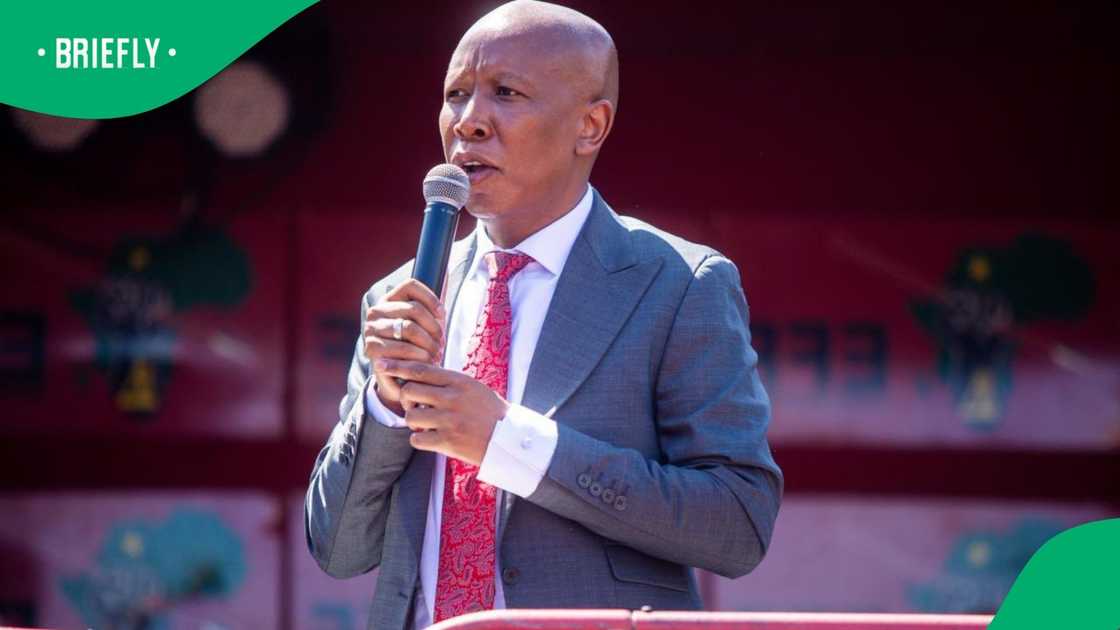 The president of the Economic Freedom Fighters president said that he will be reinforcing his legal team to appeal his conviction