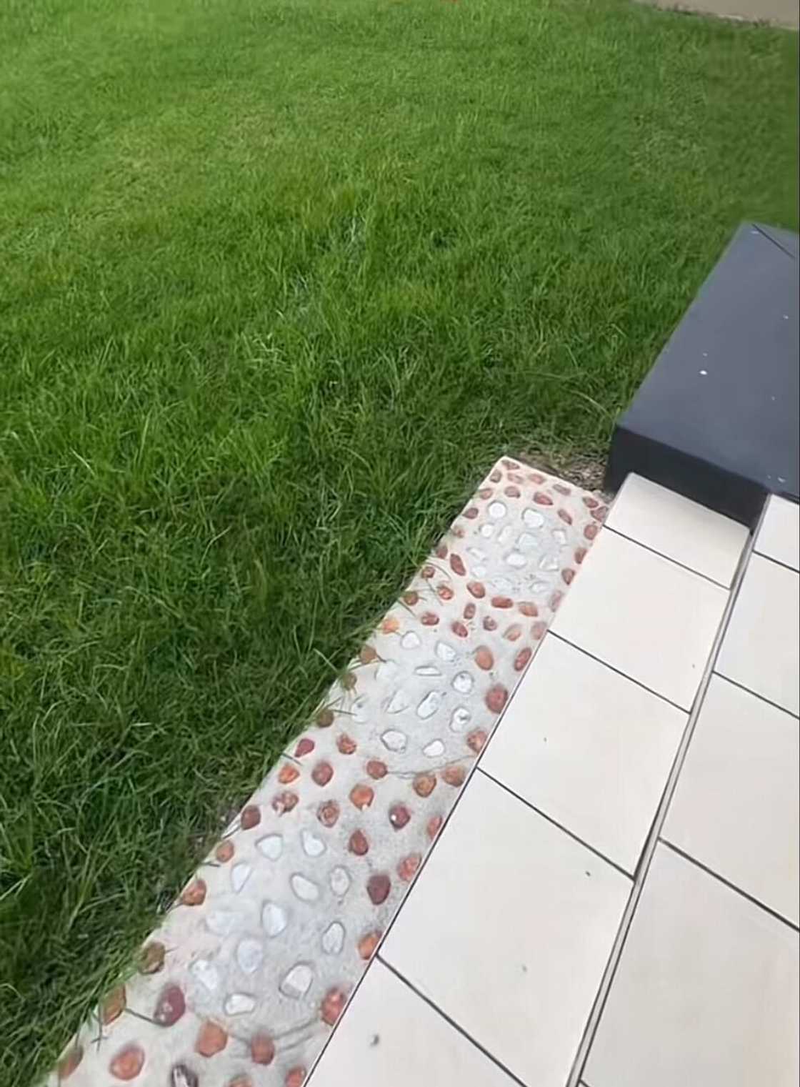 The backyard of a house in Midrand with a rental of R3,800 per month.