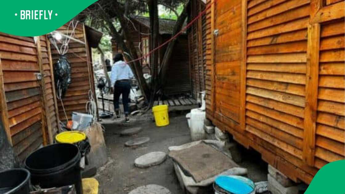 Inside the hijacked house