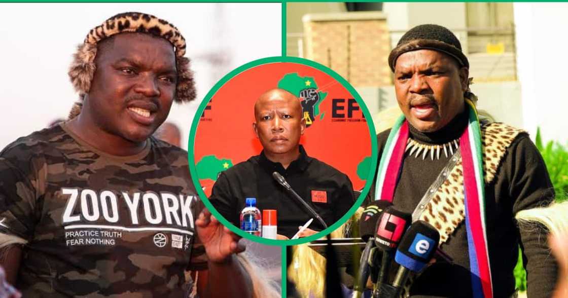 Ngizwe claimed that Julius wanted him to bring in numbers from KZN to the EFF Ngizwe claimed that Julius wanted him to bring in numbers from KZN to the EFF