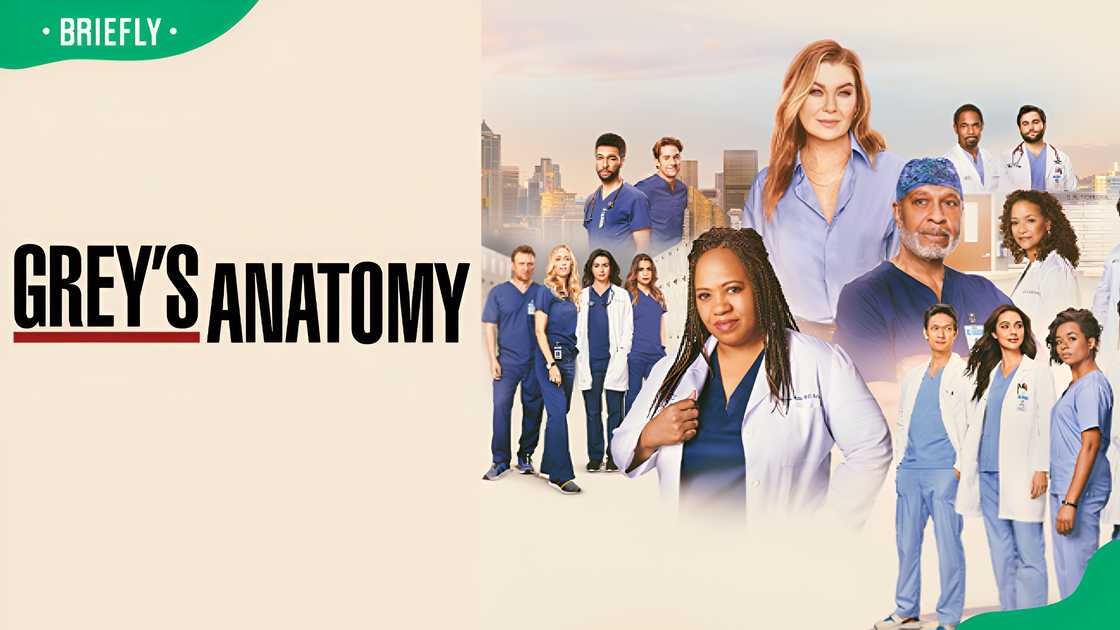 Grey's Anatomy's cast