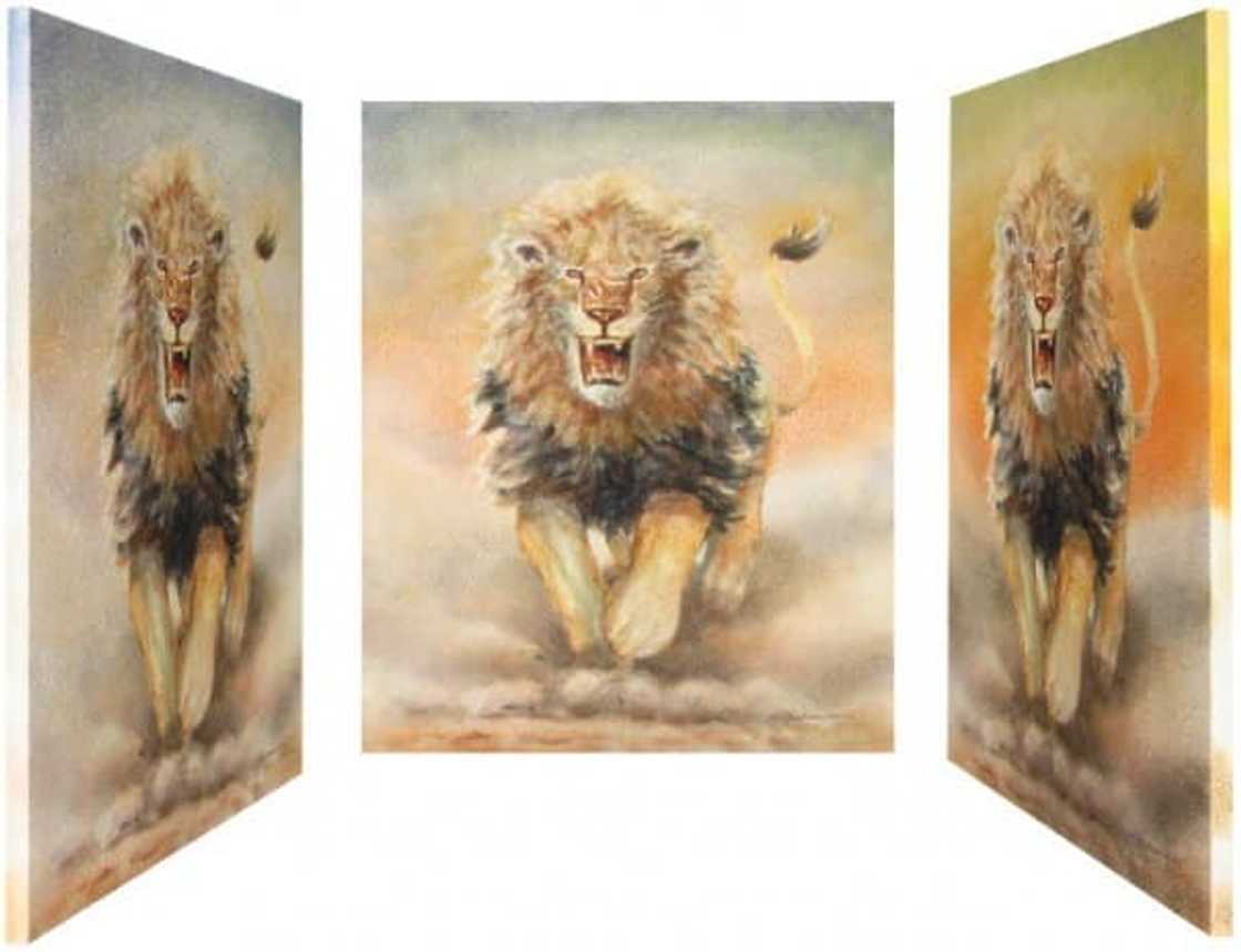 South African artists South African artists