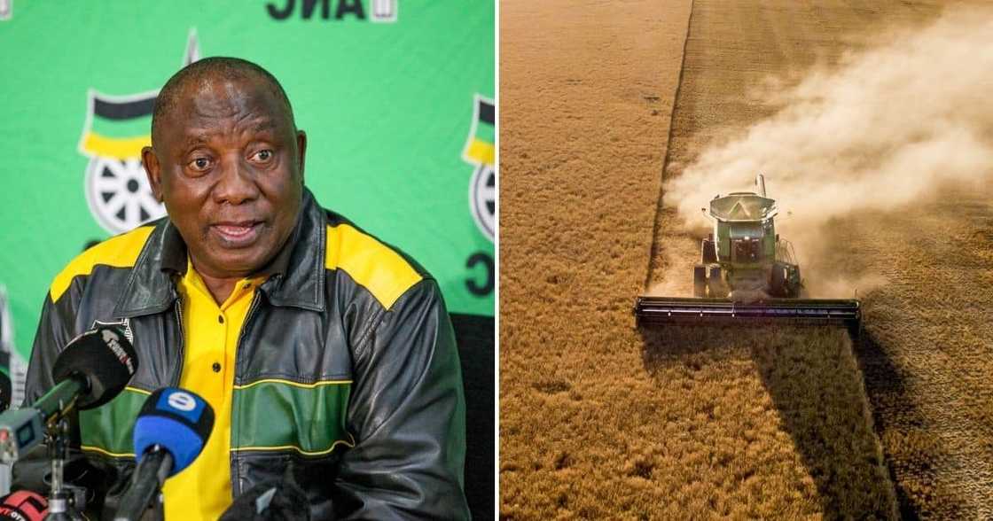 ANC, land reform, redistribution, farmers, donate, land, leaked plan, expropriation without compensation ANC, land reform, redistribution, farmers, donate, land, leaked plan, expropriation without compensation