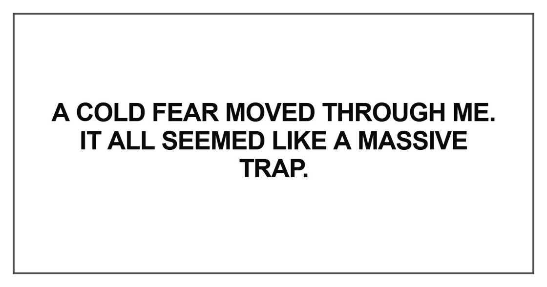 A cold fear moved through me