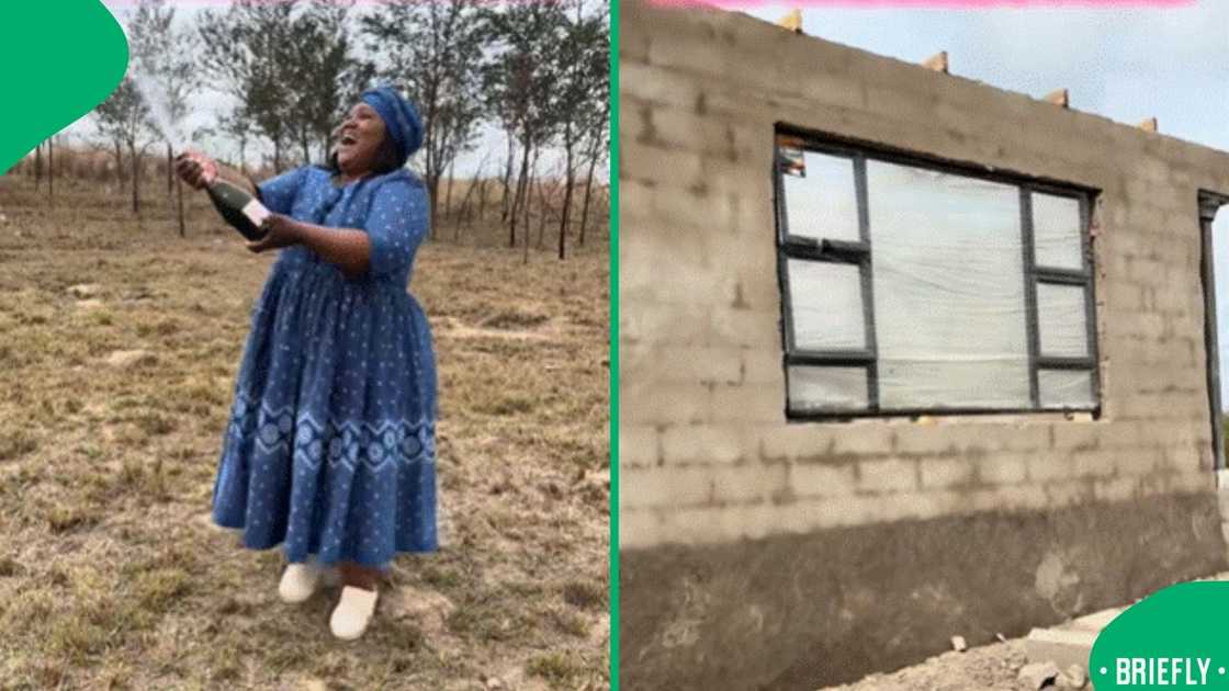 A visual focused on the early stages of construction, giving a glimpse into their building process A visual focused on the early stages of construction, giving a glimpse into their building process