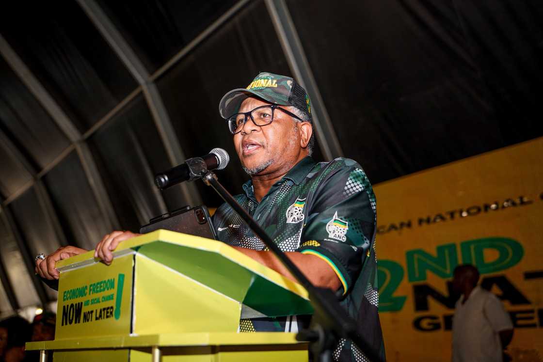 Fikile Mbalula delivered the closing remarks at the ANCYL conference