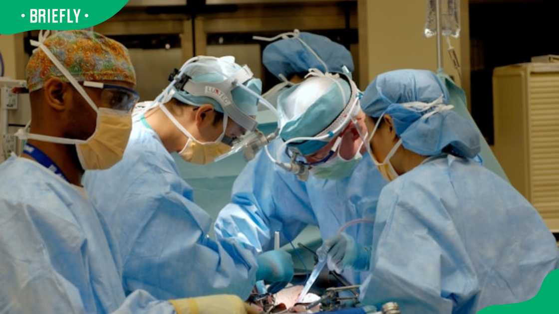 A group of medical personnel in the lab