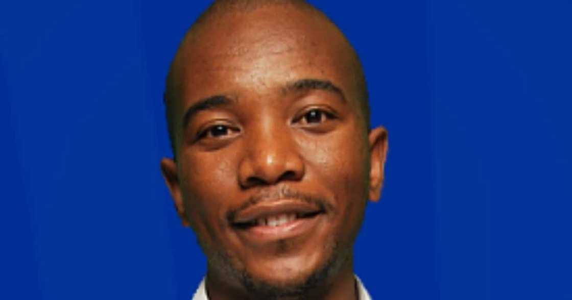 Mmusi Maimane, claps back, troll