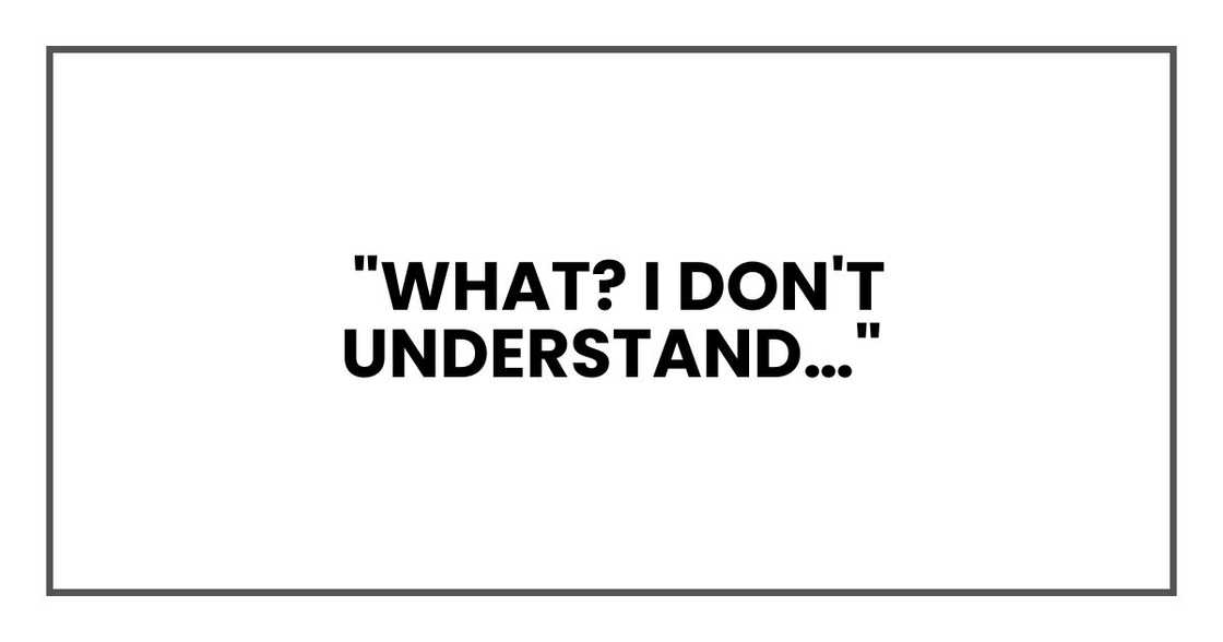 What? I don't understand… What? I don't understand…