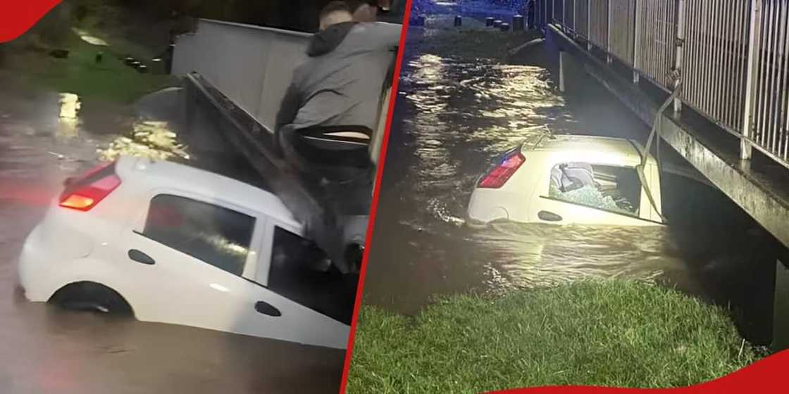 Liam Stych Liam Stych