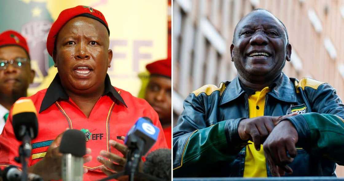 Julius Malema_Cyril Ramaphosa Julius Malema_Cyril Ramaphosa