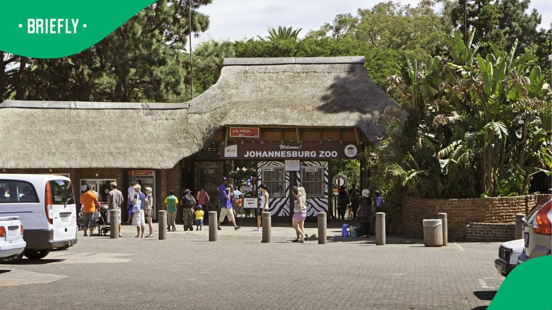 Joburg Zoo announces free entry for pensioners, giving older residents a chance to visit