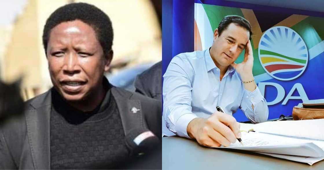 Malema Tells DA to Voetsek After Party Questions His Nkandla Tea Party Malema Tells DA to Voetsek After Party Questions His Nkandla Tea Party