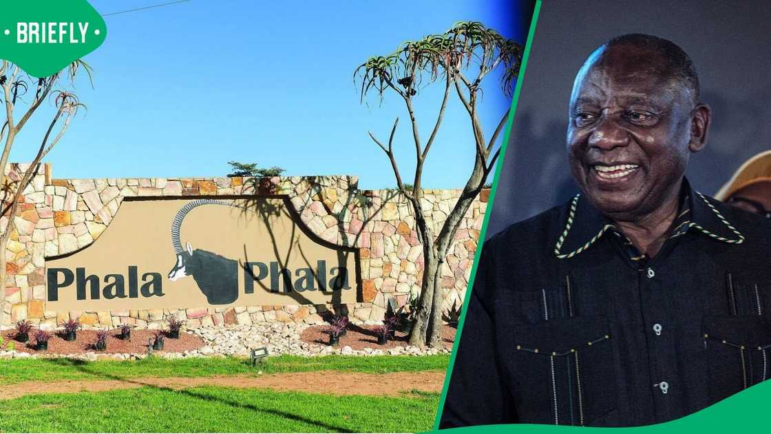 An investigation revealed that more money was stolen from Phala Phala than President Cyril Ramaphosa reported An investigation revealed that more money was stolen from Phala Phala than President Cyril Ramaphosa reported