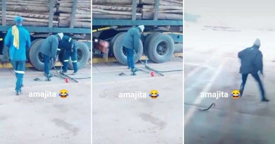 Snake, video, jokes, TikTok, Mzansi, Man's Co-workers, Prank Fake Snake, Work, South Africa