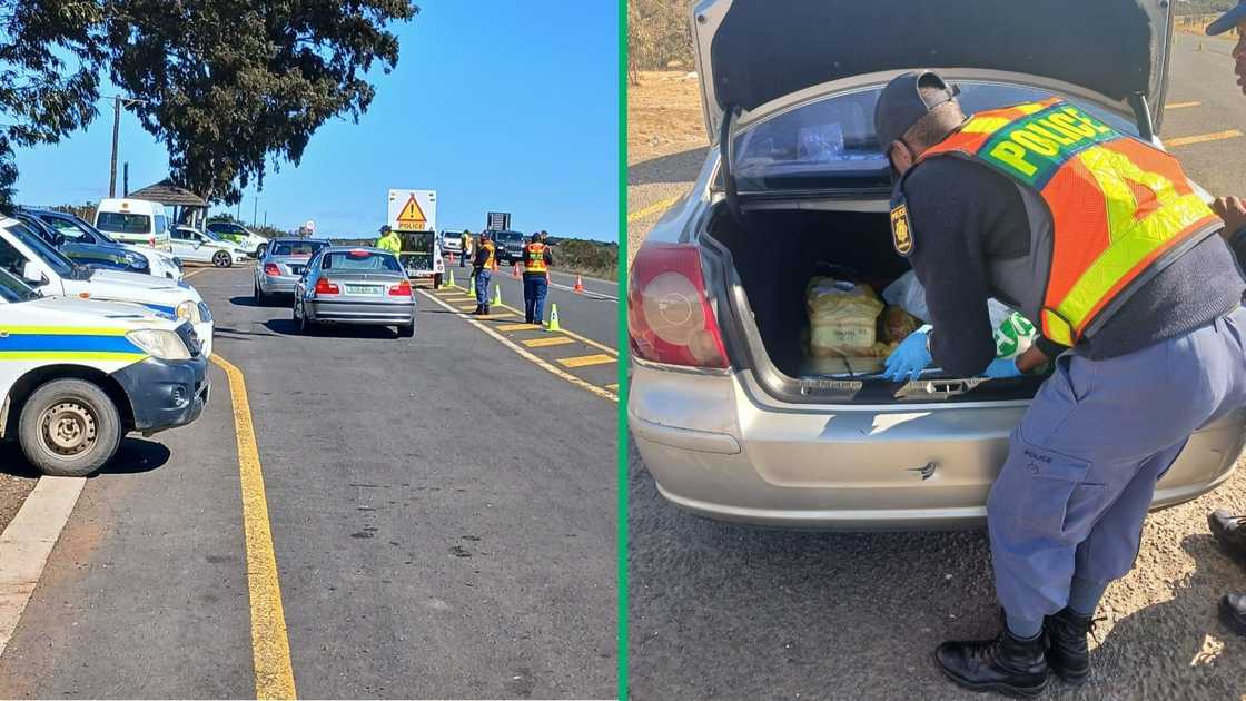 SAPS, as part of a multi-disciplinary unit, conducting roadblocks during the operation in the Eastern Cape.