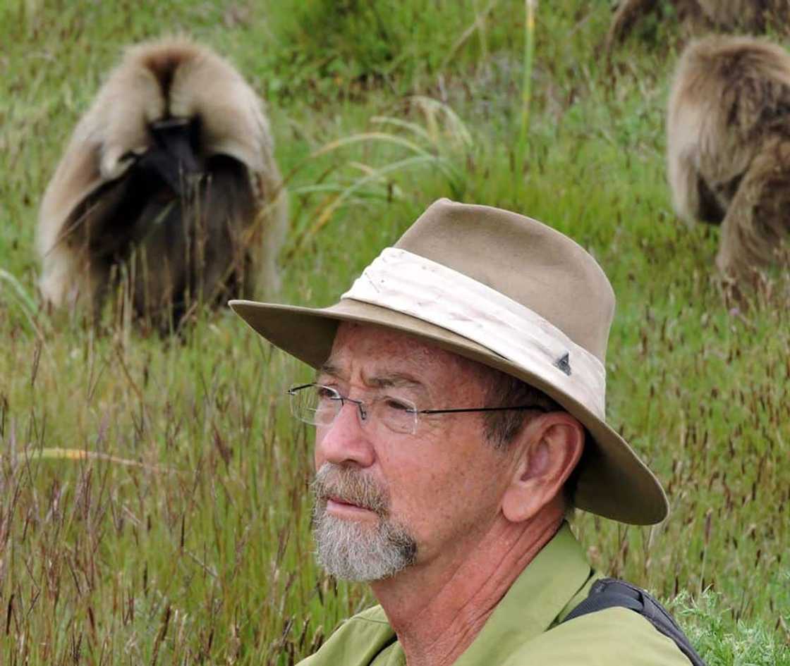 Dave Pepler tours Dave Pepler tours