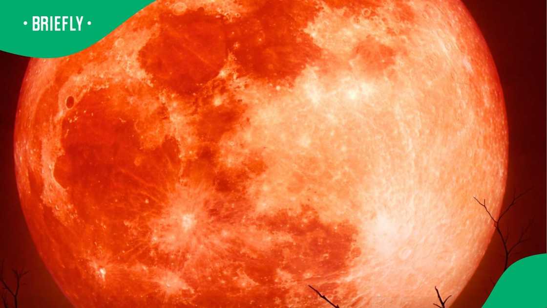 A post went viral. A post went viral.