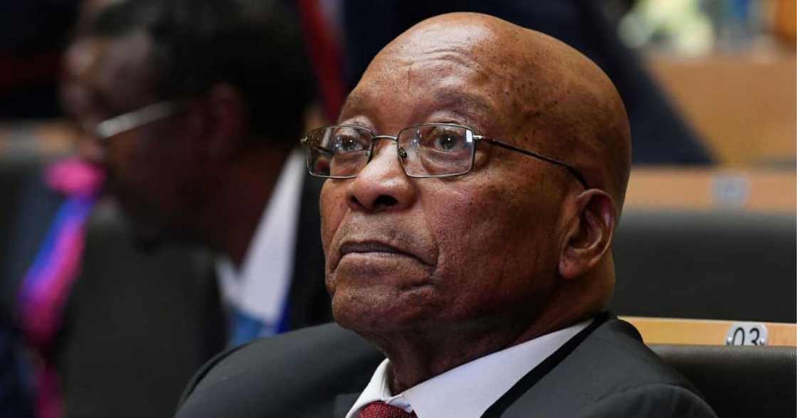 Democracy, Convict, Jacob Zuma, Judgement, Constitutional Court, ConCourt, Prison, South Africa, President, Herdsboy Democracy, Convict, Jacob Zuma, Judgement, Constitutional Court, ConCourt, Prison, South Africa, President, Herdsboy