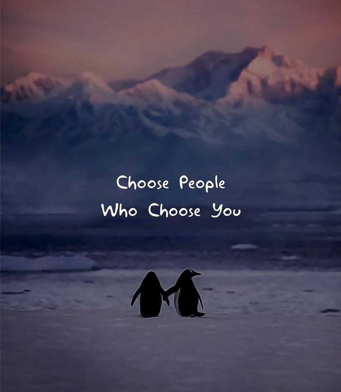 hurtful quotes hurtful quotes