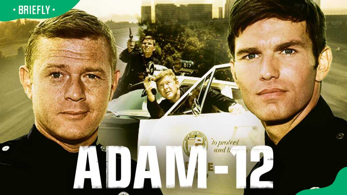 Adam-12 TV show