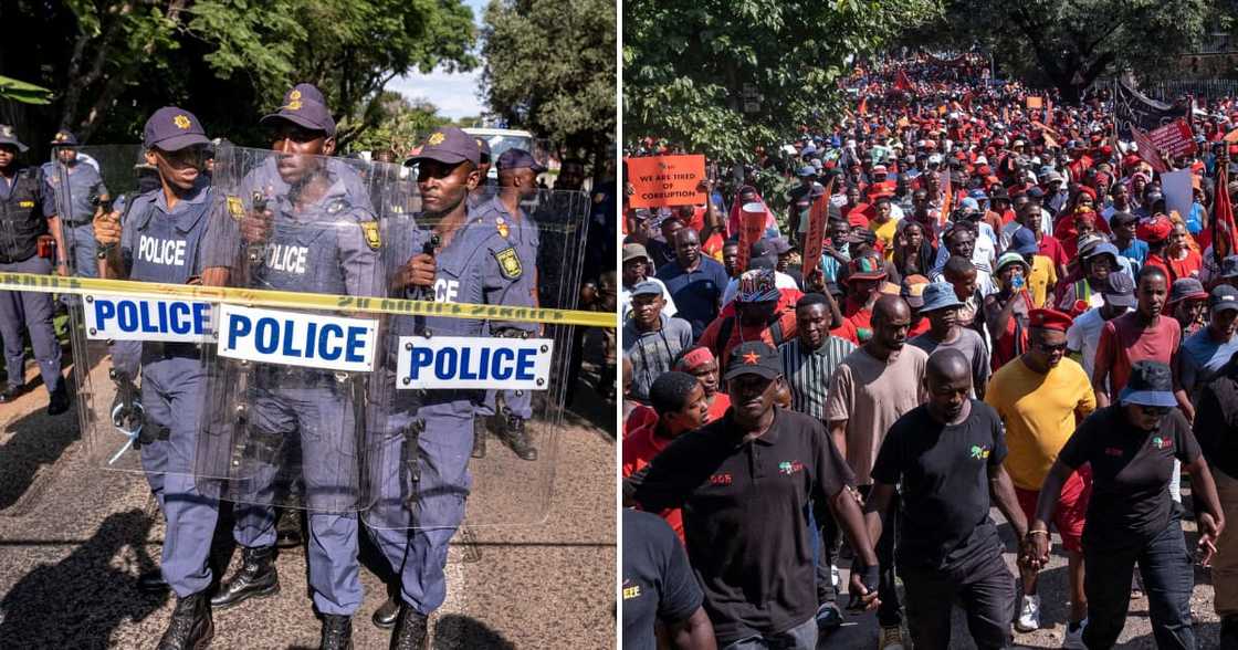 Police arrested over 500 protestors during EFF national shutdown Police arrested over 500 protestors during EFF national shutdown