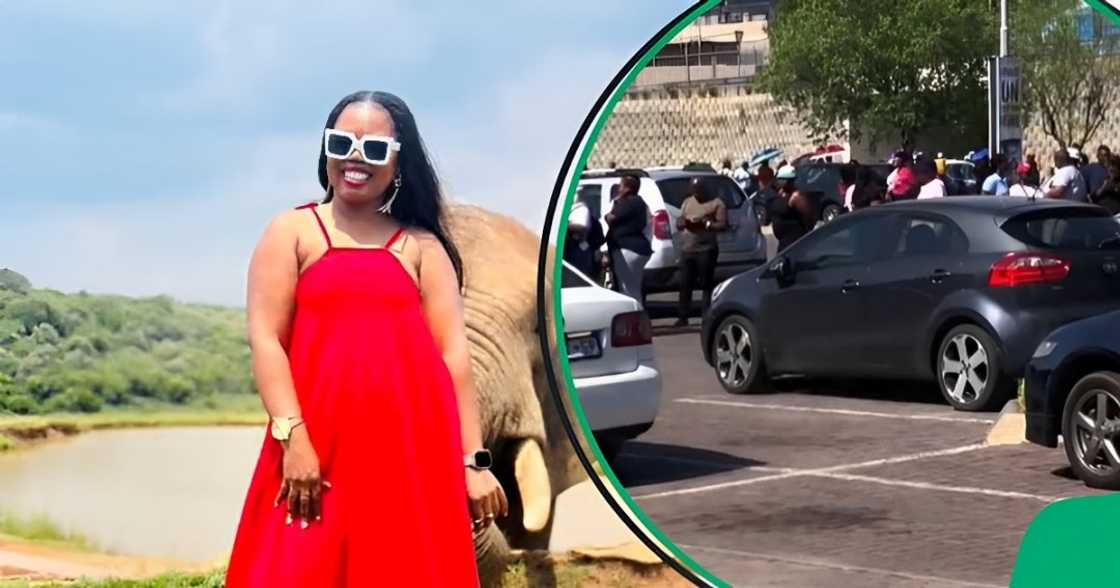 Joburgers queue outside Nike factory for sales Joburgers queue outside Nike factory for sales