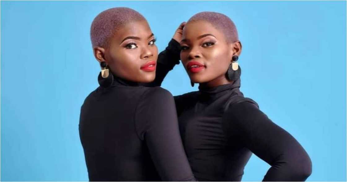 SA reacts to Qwabe Twins' New Year photoshoot SA reacts to Qwabe Twins' New Year photoshoot