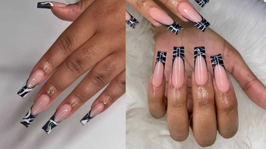 Peach with zebra tips Peach with zebra tips