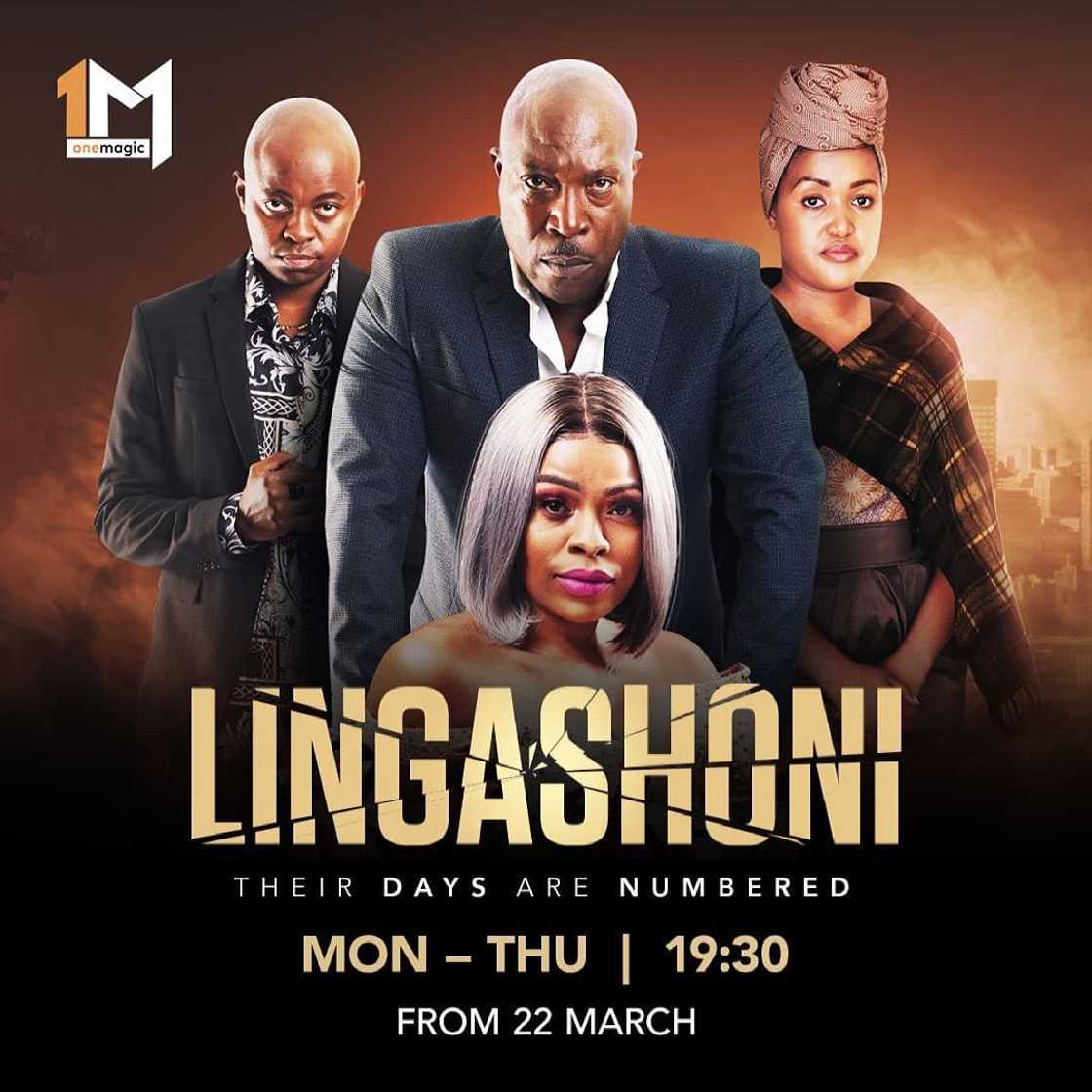 Lingashoni Teasers Lingashoni Teasers