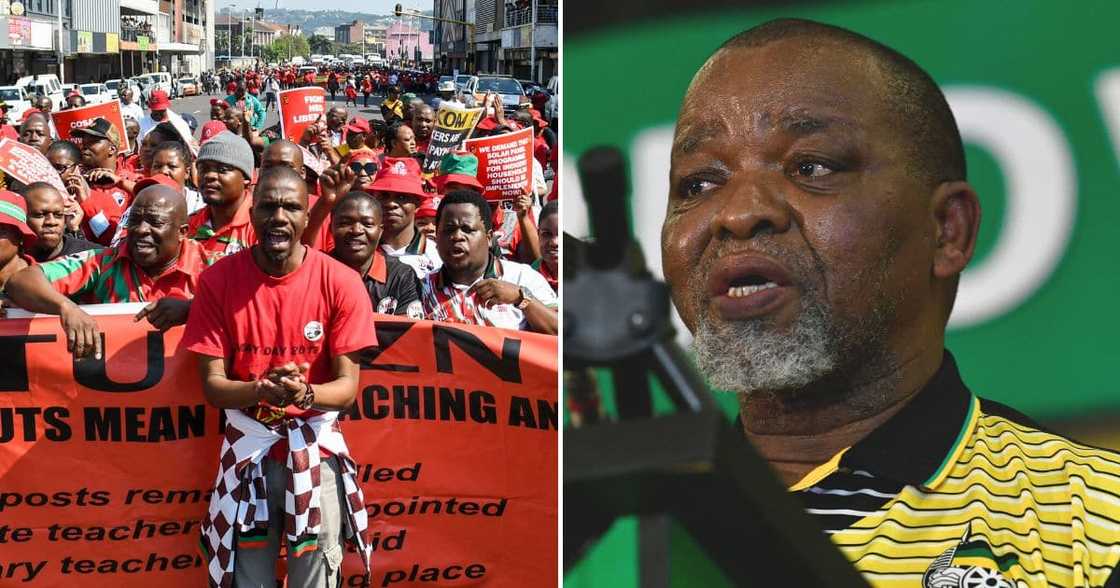 Gwede Mantashe Gwede Mantashe